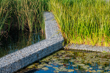 The system of natural purification of the water