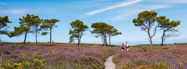 people walk towards ocean at cap d'erqui in french brittany - obrazy, fototapety, plakaty