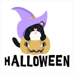 black cat and pumpkin vector illustration in cartoon style for the holiday halloween