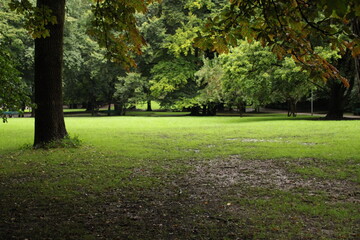 Waldimpressionen meditativ herbstlich ruhig gelassen