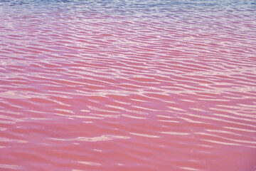 Obraz premium Pink color of salt lake, minimalistic natural landscape. Pink lake which boasts pink hue created by presence of carotenoid-producing algae Dunaliella salina