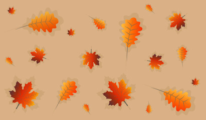 Fototapeta na wymiar Yellow autumn leaves on a light brown background. Gradient leaves. Autumn time. Autumn pattern.