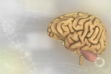Human brain, intelligence analysis concept - very detailed modern background or texture, medical 3D illustration