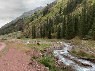 Descent from the Kegety Pass on the northern side of the slope. Kegety River valley. Tien Shan Mountains. Chui region. Kyrgyzstan.