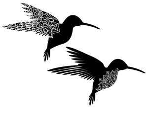Obraz premium Mandala hummingbirds