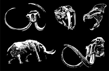 Graphical 3d illustration, skulls of mammoth , tiger and bear and mammoth walking,vector illustration on black - obrazy, fototapety, plakaty