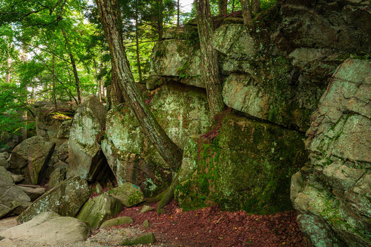 Stone cliffs of glacial rocks are covered with lichens and moss. Footpath scenery at Purgatory Chasm Park in Massachusetts