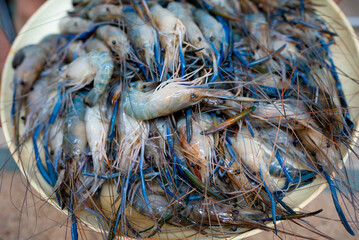 Many fresh shrimps are cleaned and placed in trays and ready to be cooked to eat.