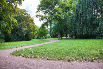 Obraz premium Geschwungener Spazierweg durch eine weitläufige Parklandschaft mit üppigem Baumbestand und grünen Wiesen, Köthen, Landkreis Anhalt-Bitterfeld, Sachsen-Anhalt, Deutschland