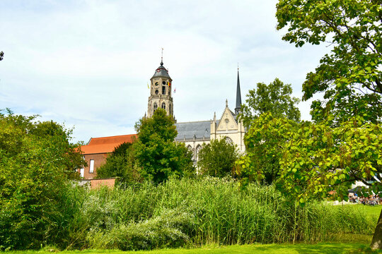 Brabantine Bilder Durchsuchen 207 Archivfotos, und