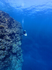 Obraz premium 神秘的な青の美ら海／沖縄・黒島（竹富町）