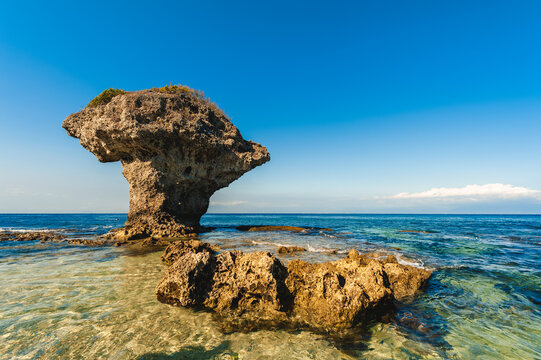 Flower Vase Coral Rock At Lamay Island In Pingtung County, Taiwan