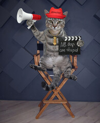A gray cat director sits on a high wooden chair and holds a megaphone and a clapperboard with...
