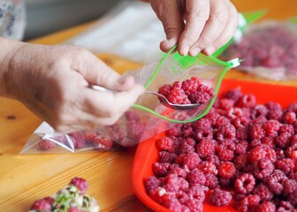 An elderly woman is hands place fresh raspberries in plastic bags prepared for storage.