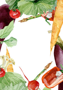 Watercolor vegetables frame border with radish, carrot, asparagus, eggplant, cabbage. Hand painted vegetarian banner for eco food menu, greeting cards flyer, recipe. Farmers market. Veggie design.