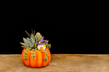 Succulents mix arrangement with witch house miniature in  ceramic pumpkin planter on wooden table...