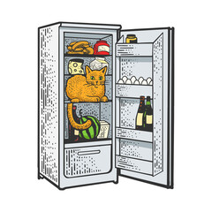 Cat in fridge sketch raster illustration