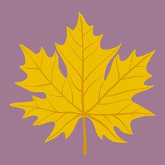 Simplicity maple leaf freehand drawing flat design.