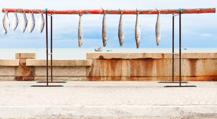 Sea fish, dry hanger.