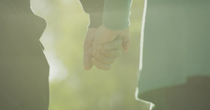 4K Back view of elderly couple holding hands while walking together in park . Senior couple on a walk in autumn nature. Happiness people lifestyle. Closeup of elderly couple hand. Slow motion footage 