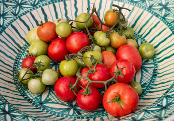 Naklejka na ściany i meble Red and green fresh tomatoes