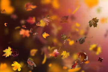 autumn leaves background, autumn leaves in the wind