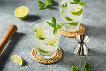 Boozy Cold Refreshing Mint Mojito