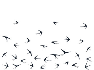 Birds flying vector illustration. Black birds on white background
