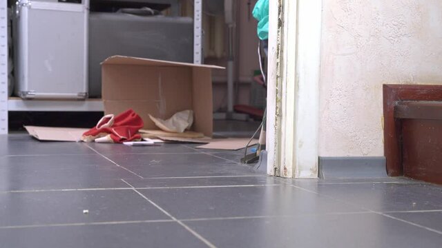 Mischievous dachshund puppy in old t-shirt has made a mess at home, tore up cardboard boxes with clothes in the pantry and runs away from crime scene. Raiding and training pets.