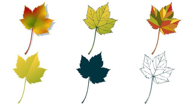 Big set of vector leaf shapes drawing in different styles: hand-drawn sketch, silhouette, flat, cartoon are isolated on white background. Colorful maple leaves coloring sheet.