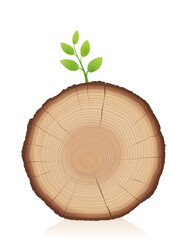 Tree trunk with green sprout - wood slice with young sprig - symbol for comeback, restart, relaunch, triumph, winning, self assertion, beginning.  Vector illustration on white background. 

