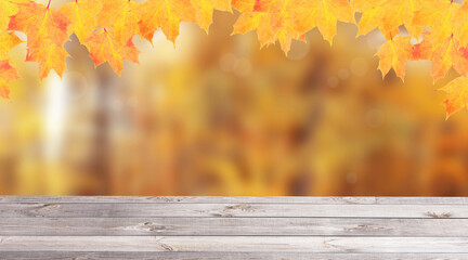 Yellow-orange maple leaves and wooden desk of autumn nature background