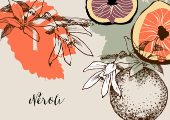 Orange tree branch in bloom, fruit and orange blossom or neroli background