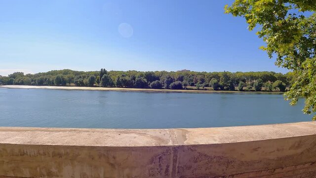 lake and forest