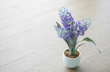bouquet of snowdrops