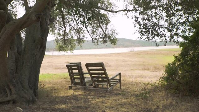 Bancos en el campo a la orilla de un lago