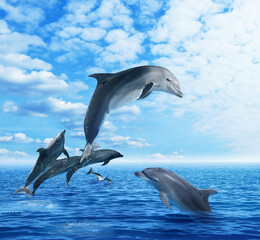 Fototapeta premium Beautiful bottlenose dolphins jumping out of sea with clear blue water on sunny day