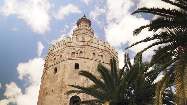 Descubriendo la torre del oro en Sevilla tras una palmeras colocadas a la derecha de la imagen