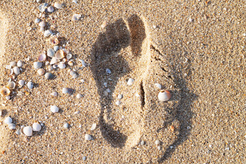 Footprint on sand on sea beach top view