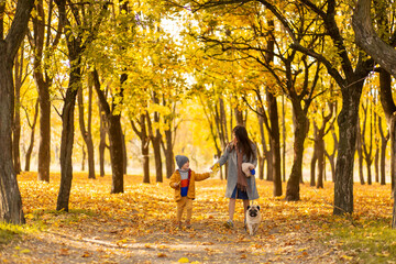 Young beautiful mother spends time on a walk with her beloved little son in the autumn park. Happy family enjoy autumn days