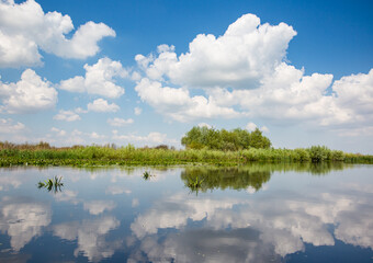 Fototapeta na wymiar Danube delta 