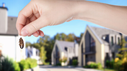 Woman holding dead cockroach and blurred view of modern houses on background. Pest control