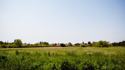 Fototapeta premium Landscape of Provence, France