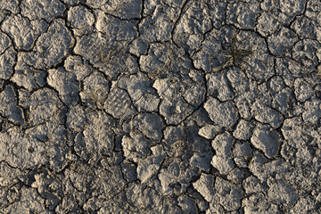 Beautiful texture of Gray soil with cracks is outside in summer