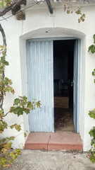 Fototapeta na wymiar Old Door and Vines