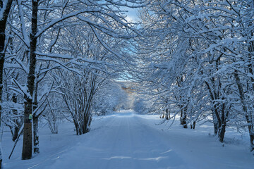 Image of a winter footpath.