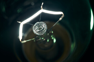 Electric lamp. Incandescent light bulb.