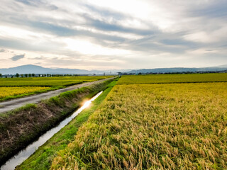 初秋の田園　日暮れの風景