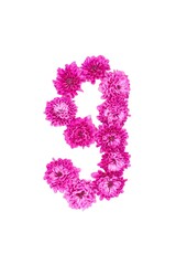 Number nine made of flowers, figures from pink Chrysanthemum, isolated on white background