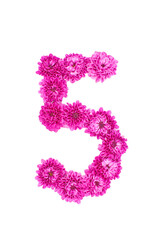 Number five of flowers, figures from pink Chrysanthemum, isolated on white background